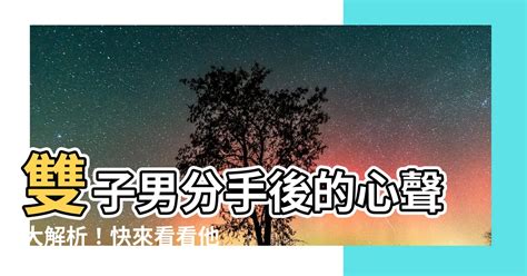 雙子男分手多久會回頭|「笑著面對，轉身落淚」雙子座分手前的「三個階段」！最後，他。